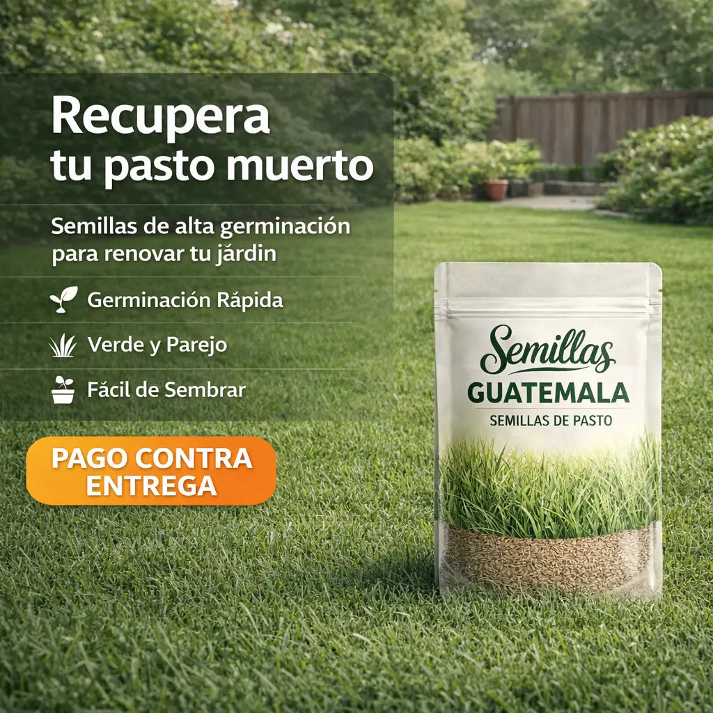 🌱Semillas de Césped Autoreparable - Cubre hasta 15 m2